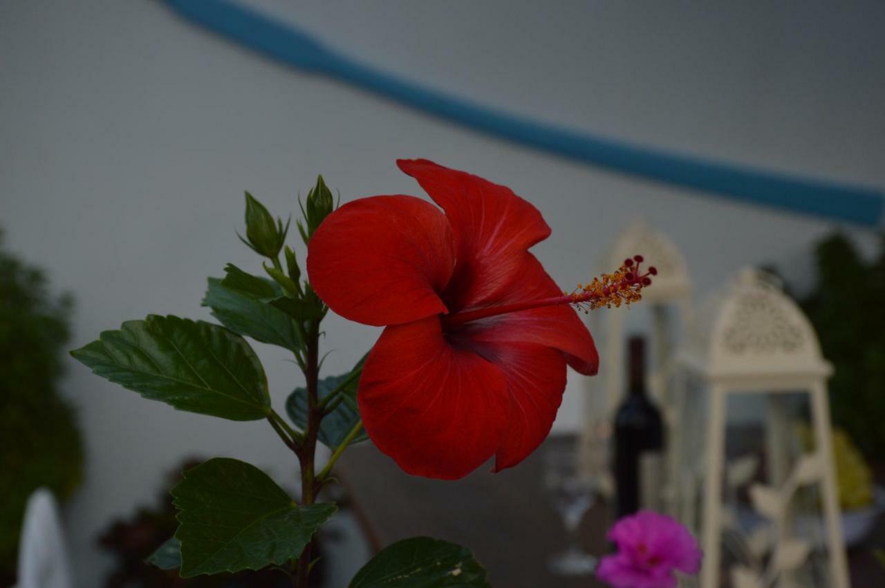 Stella'S Traditional House. Alonnisos Town ภายนอก รูปภาพ